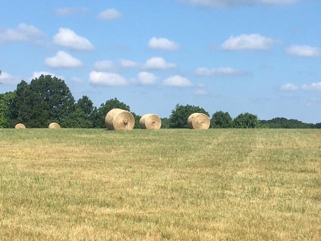 0 Mt Olive Road Mountain View, MO 65548 - Photo 1 of 1 IMG_7965