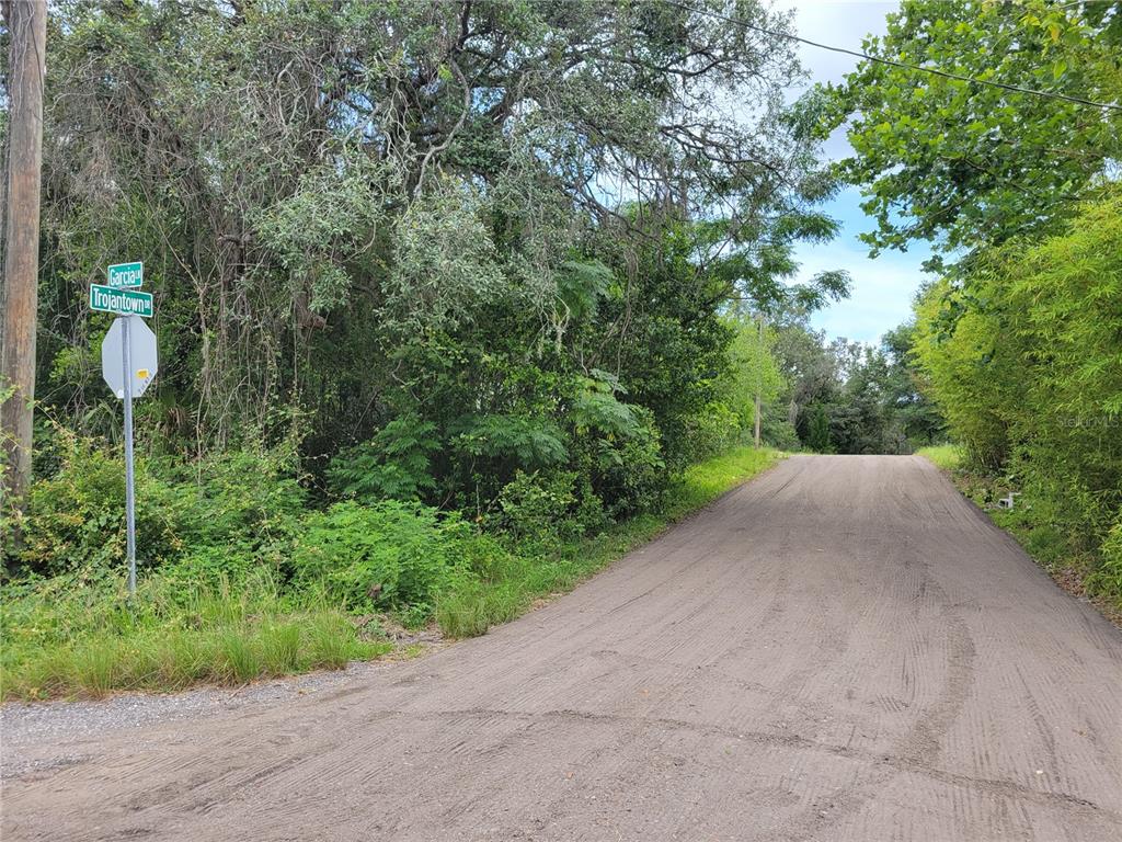 Trojan Spring Hill, FL 34610 - Photo 1 of 1 a view of a garden with plants