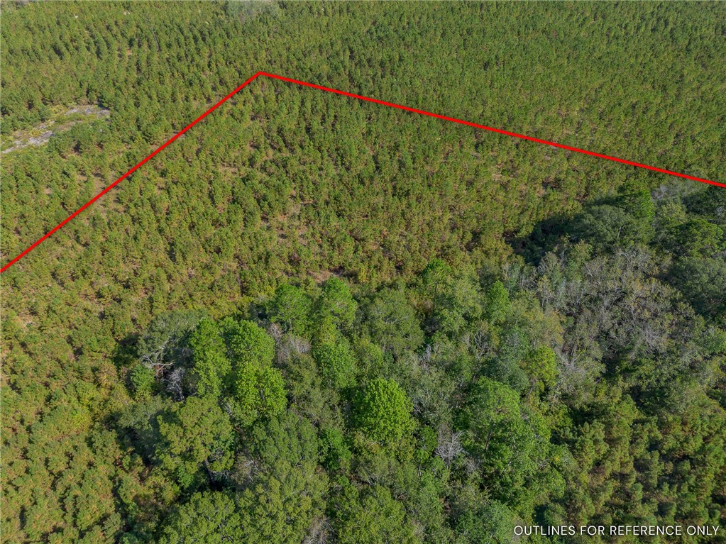 0 Kinnett Road Milan, GA 31060 - Photo 6 of 8