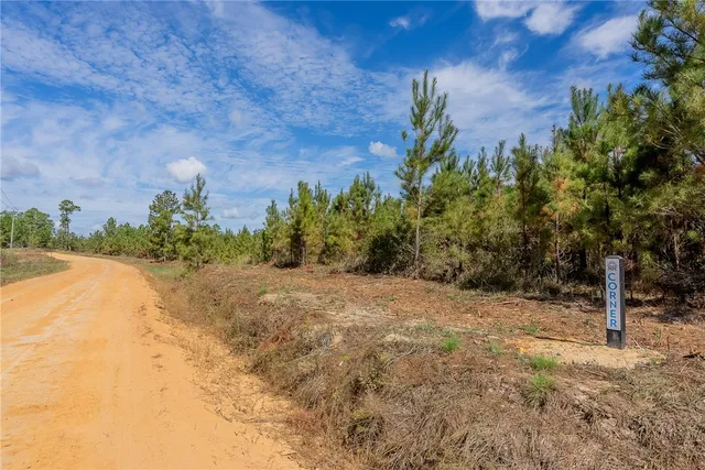 $75,000 | 0 Kinnett Road, Milan, GA 31060