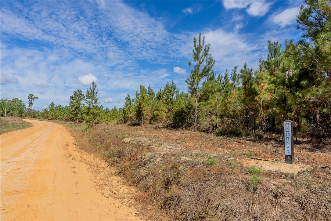 0 Kinnett Road Milan, GA 31060 - Photo 8 of 8