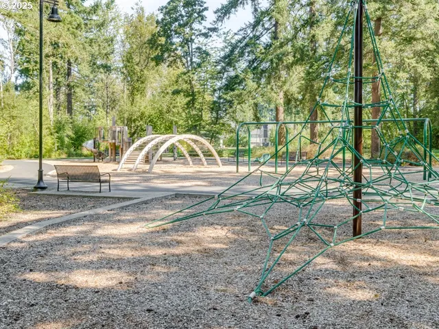 a view of backyard with large trees and plants