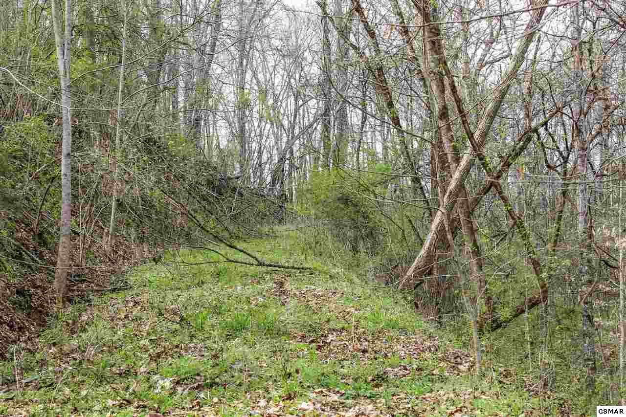 1940 Long Branch Road Seymour, TN 37865 - Photo 4 of 35 Gallery Image 4