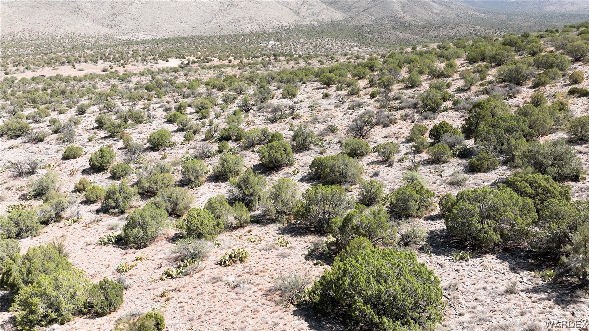 353-30-005 East Dicks Camp Road Hackberry, AZ 86411 - Photo 5 of 15