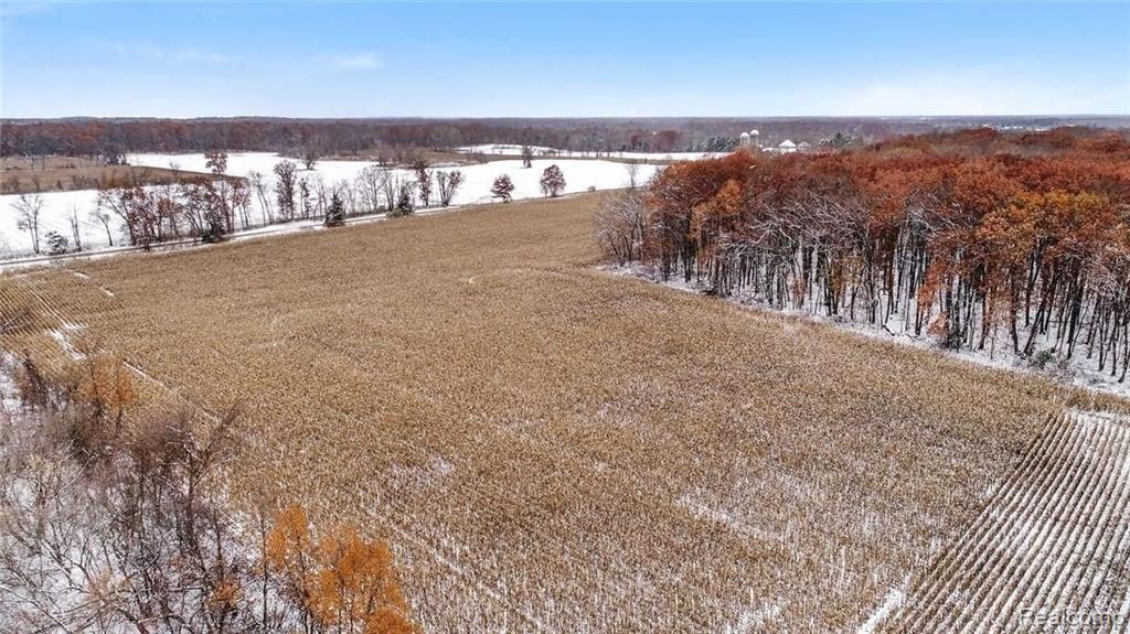 Vl Vl Dean Road Linden, MI 48451 - Photo 8 of 21