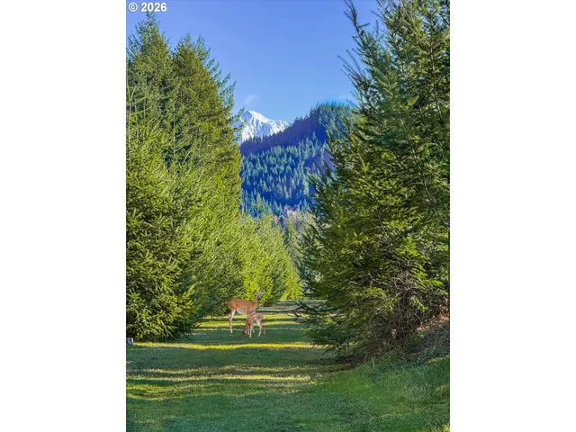 $1,599,000 | 52135 East Terra Fern Drive, Sandy, OR 97055