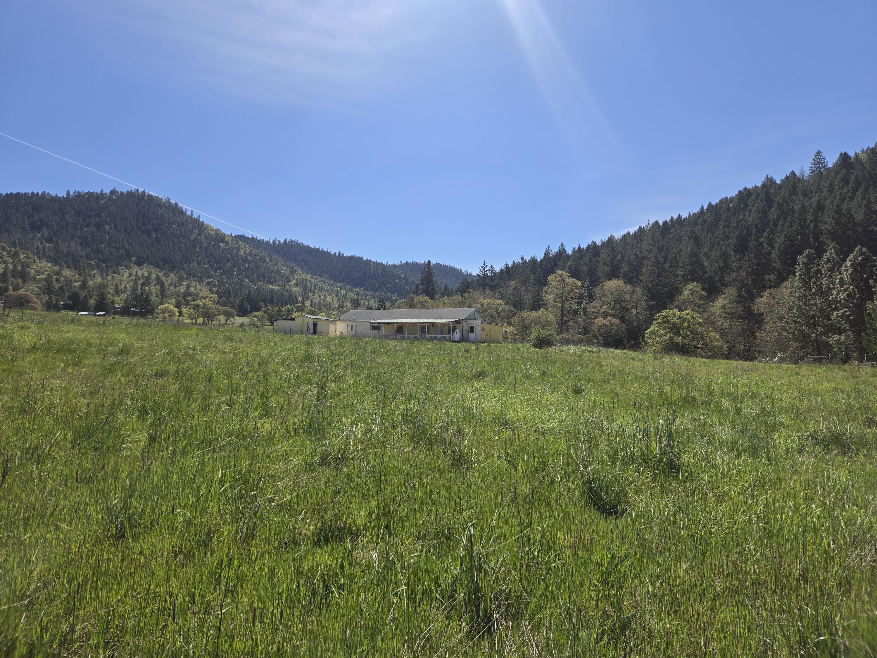 1065 Panther Gulch Road Williams, OR 97544 - Photo 11 of 18 20260404_120651
