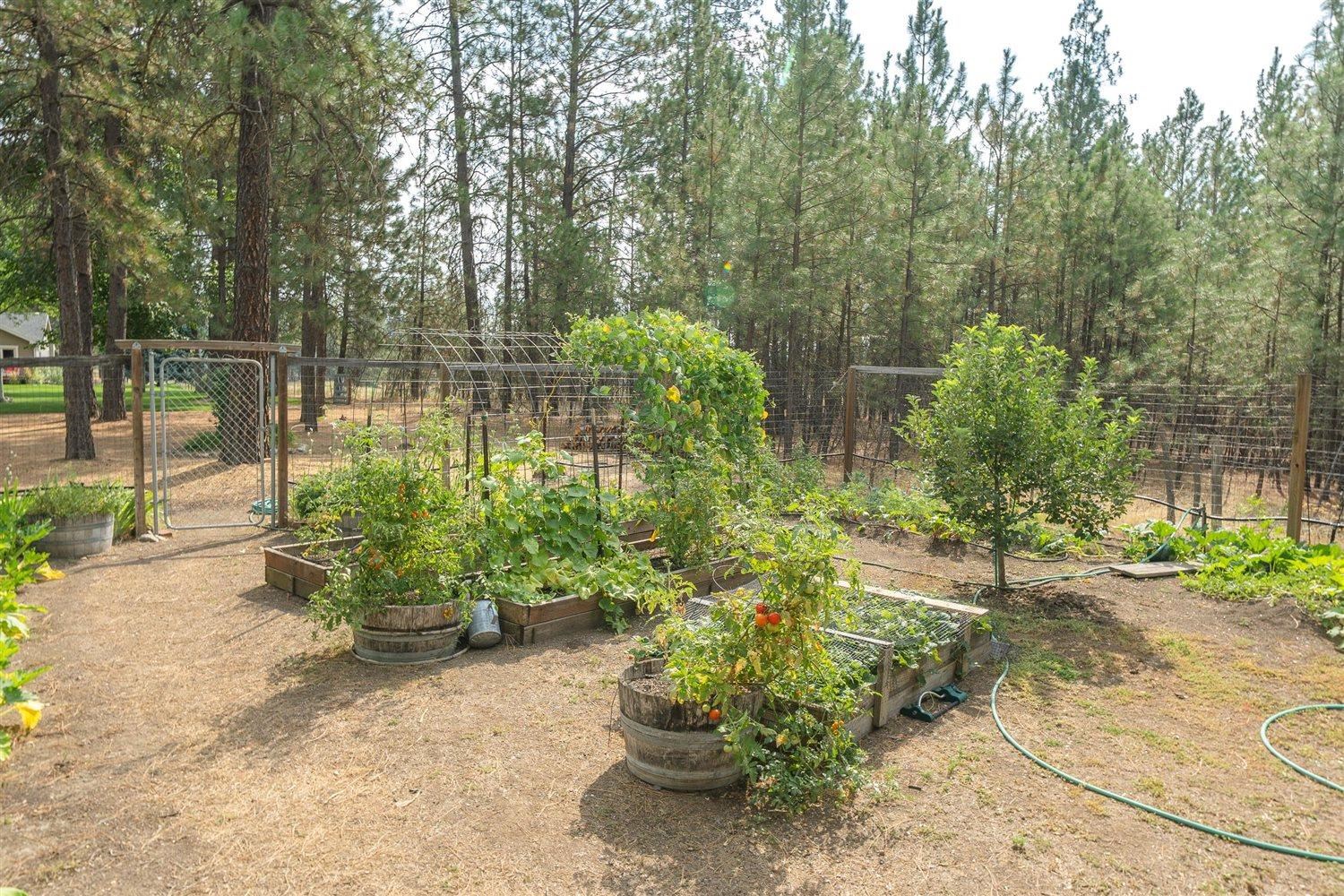 19505 North Newport Road Colbert, WA 99005 - Photo 41 of 50