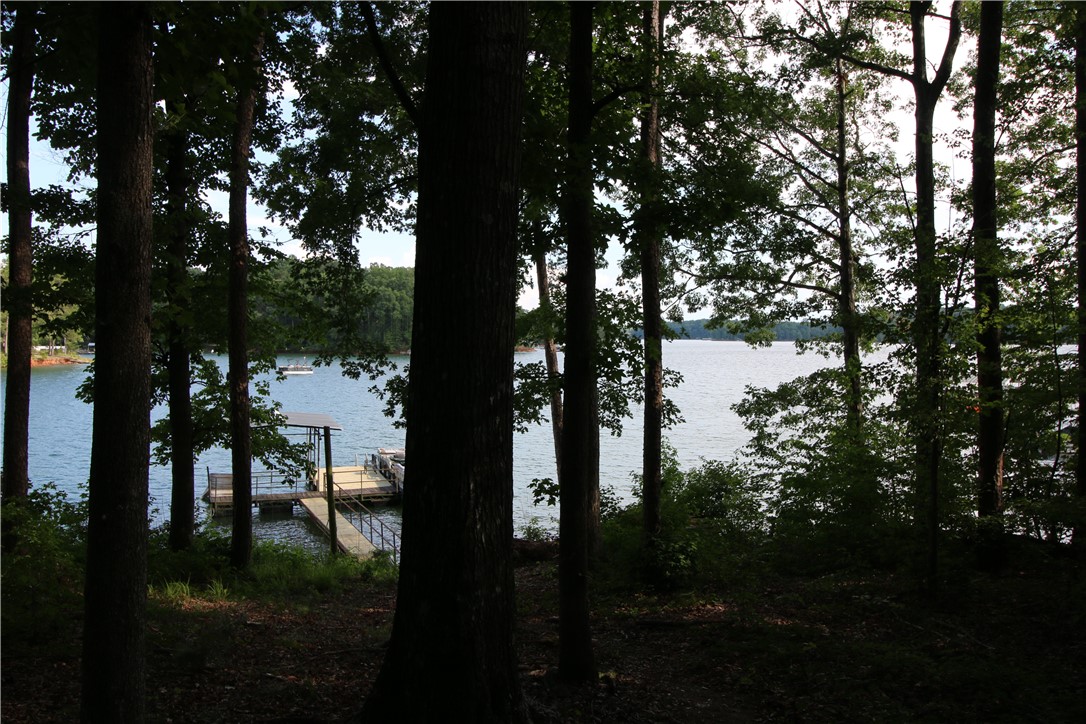 911 Shelor Ferry Road Fair Play, SC 29643 - Photo 22 of 42 Gallery Image 22