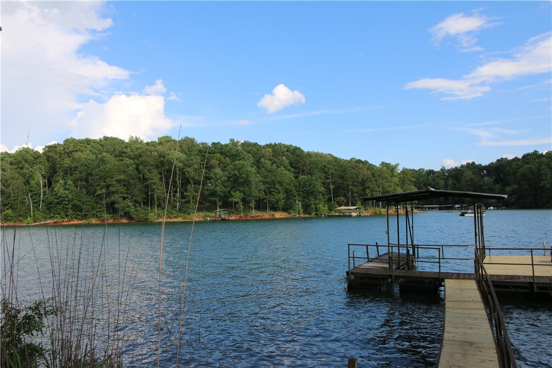 911 Shelor Ferry Road Fair Play, SC 29643 - Photo 23 of 42 Gallery Image 23