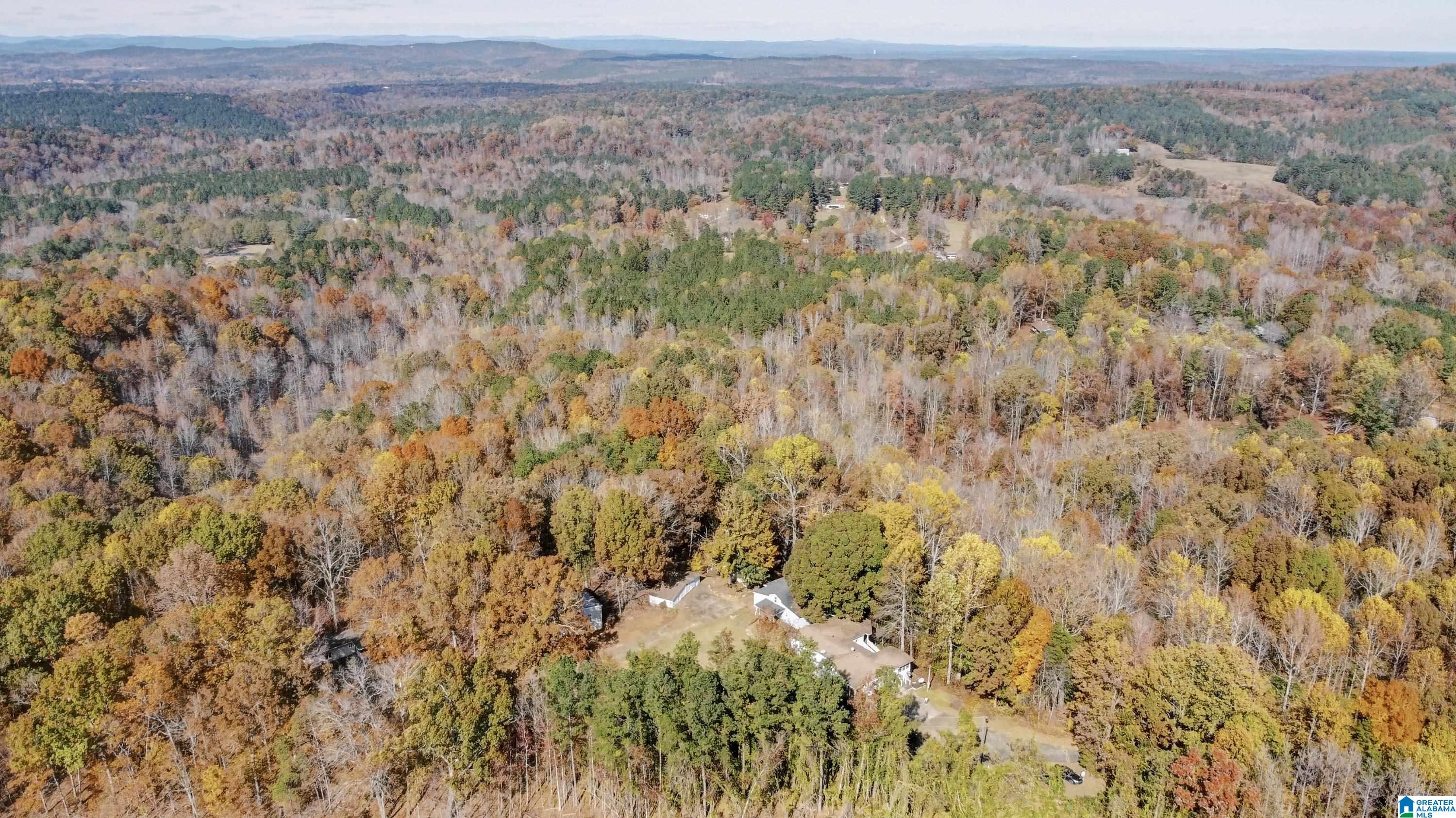 526 County Road 125 Heflin, AL 36264 - Photo 66 of 83