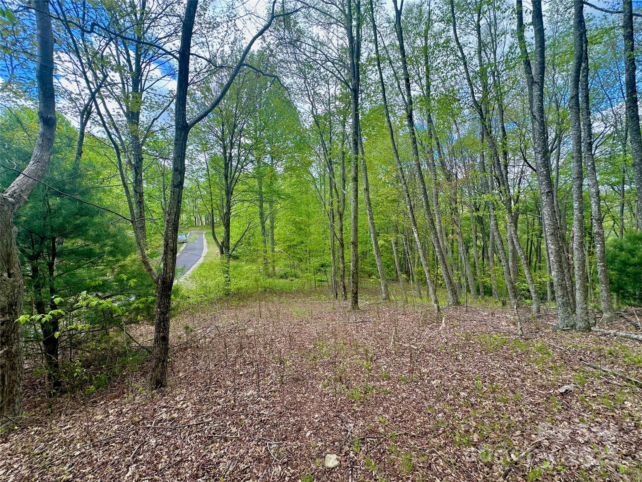 Tbd Jackson Ridge Road, Unit 4 Boone, NC 28607 - Photo 12 of 18 Gallery Image 12