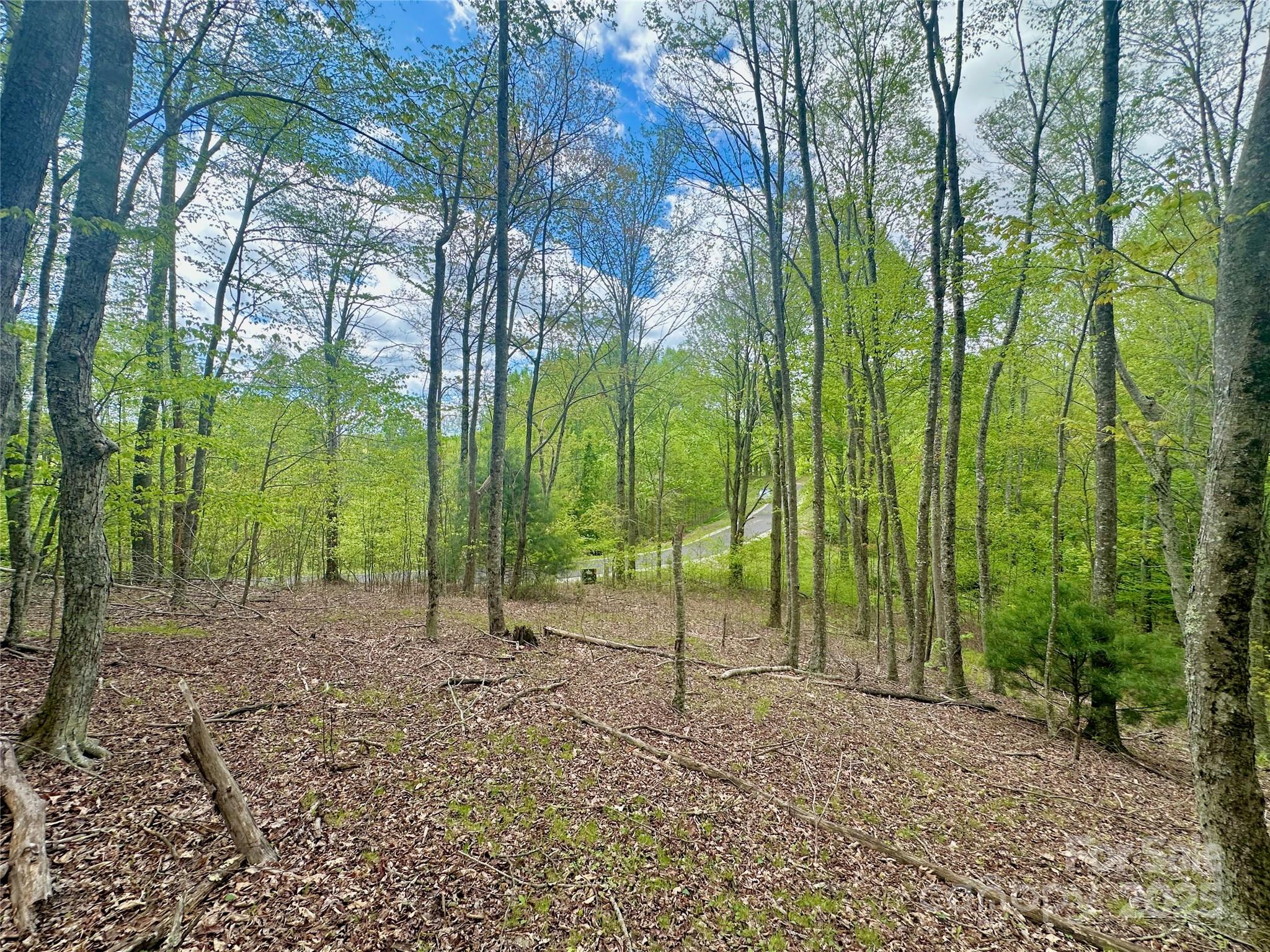 Tbd Jackson Ridge Road, Unit 4 Boone, NC 28607 - Photo 14 of 18 Gallery Image 14