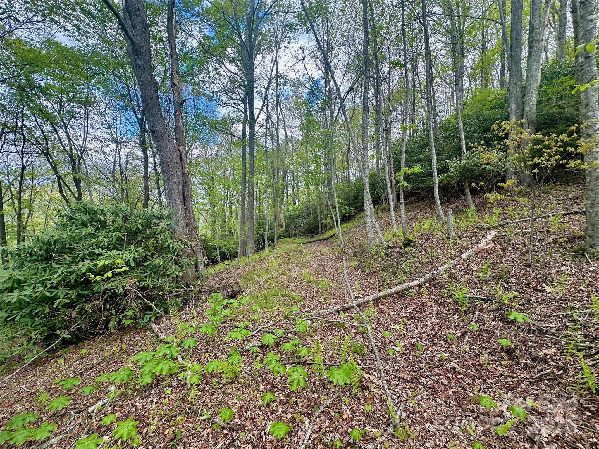 Tbd Jackson Ridge Road, Unit 4 Boone, NC 28607 - Photo 15 of 18 Gallery Image 15