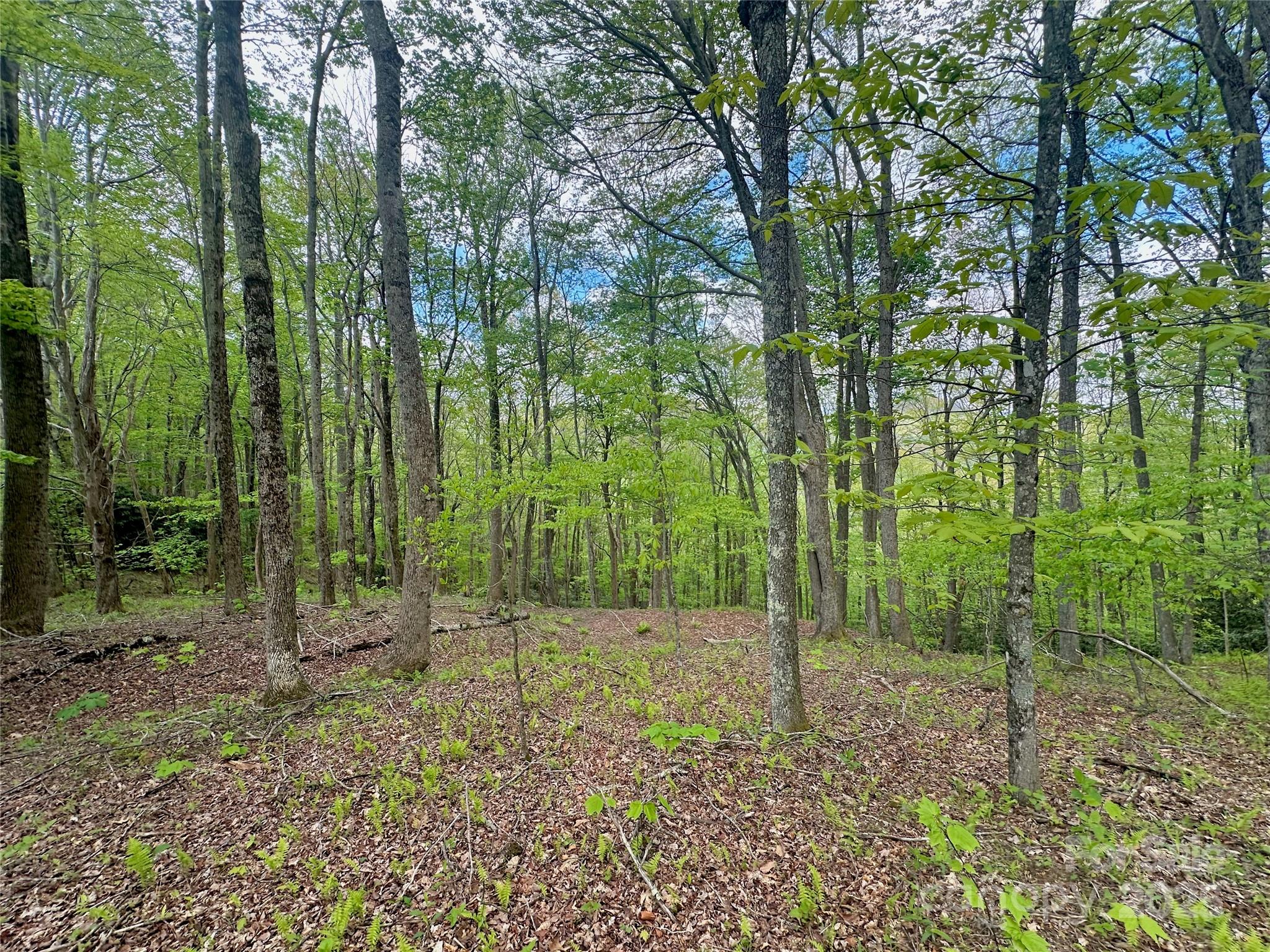 Tbd Jackson Ridge Road, Unit 4 Boone, NC 28607 - Photo 16 of 18 Gallery Image 16