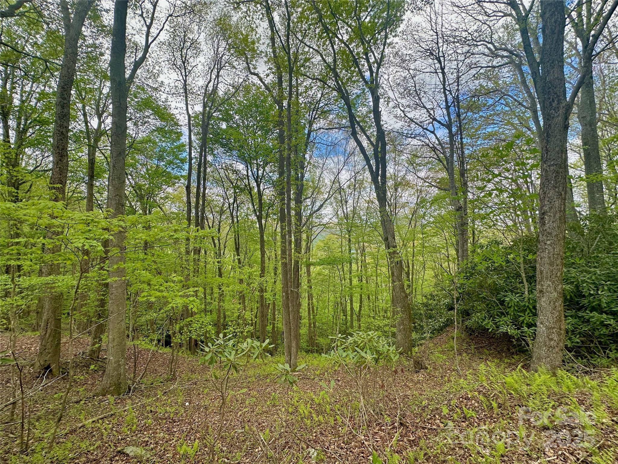 Tbd Jackson Ridge Road, Unit 4 Boone, NC 28607 - Photo 17 of 18 Gallery Image 17