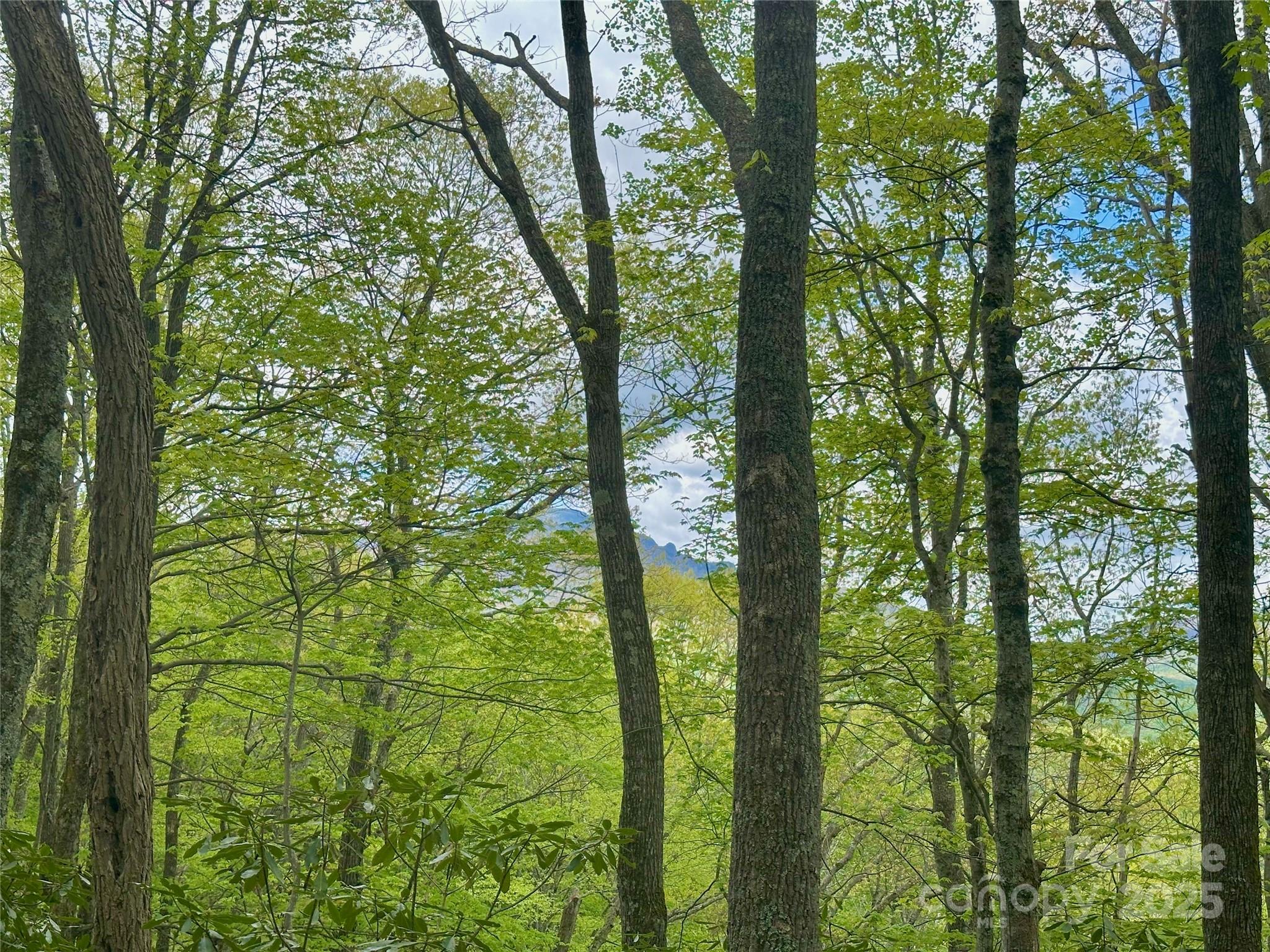 Tbd Jackson Ridge Road, Unit 4 Boone, NC 28607 - Photo 18 of 18 Gallery Image 18