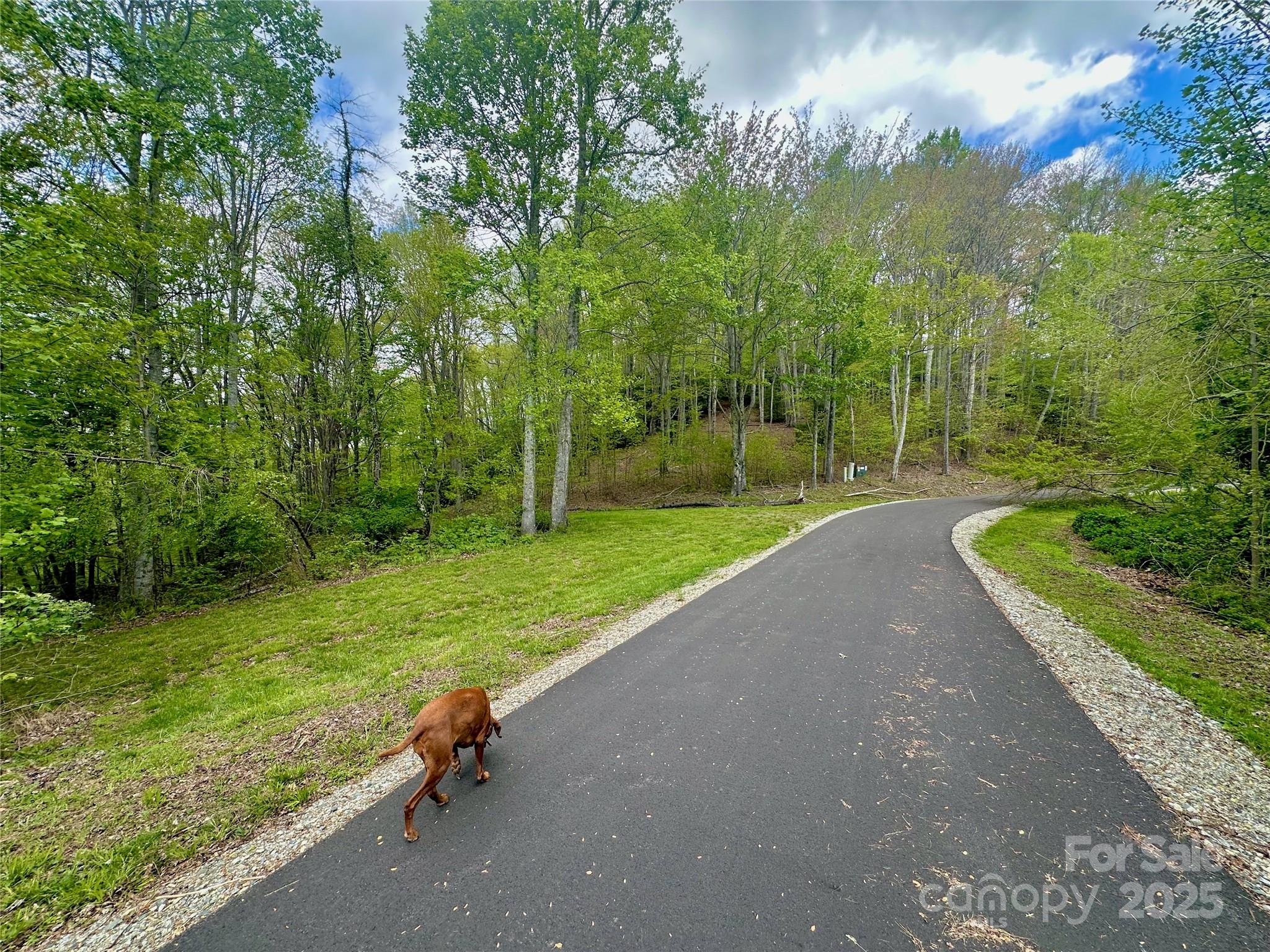 Tbd Jackson Ridge Road, Unit 4 Boone, NC 28607 - Photo 2 of 18 Gallery Image 2