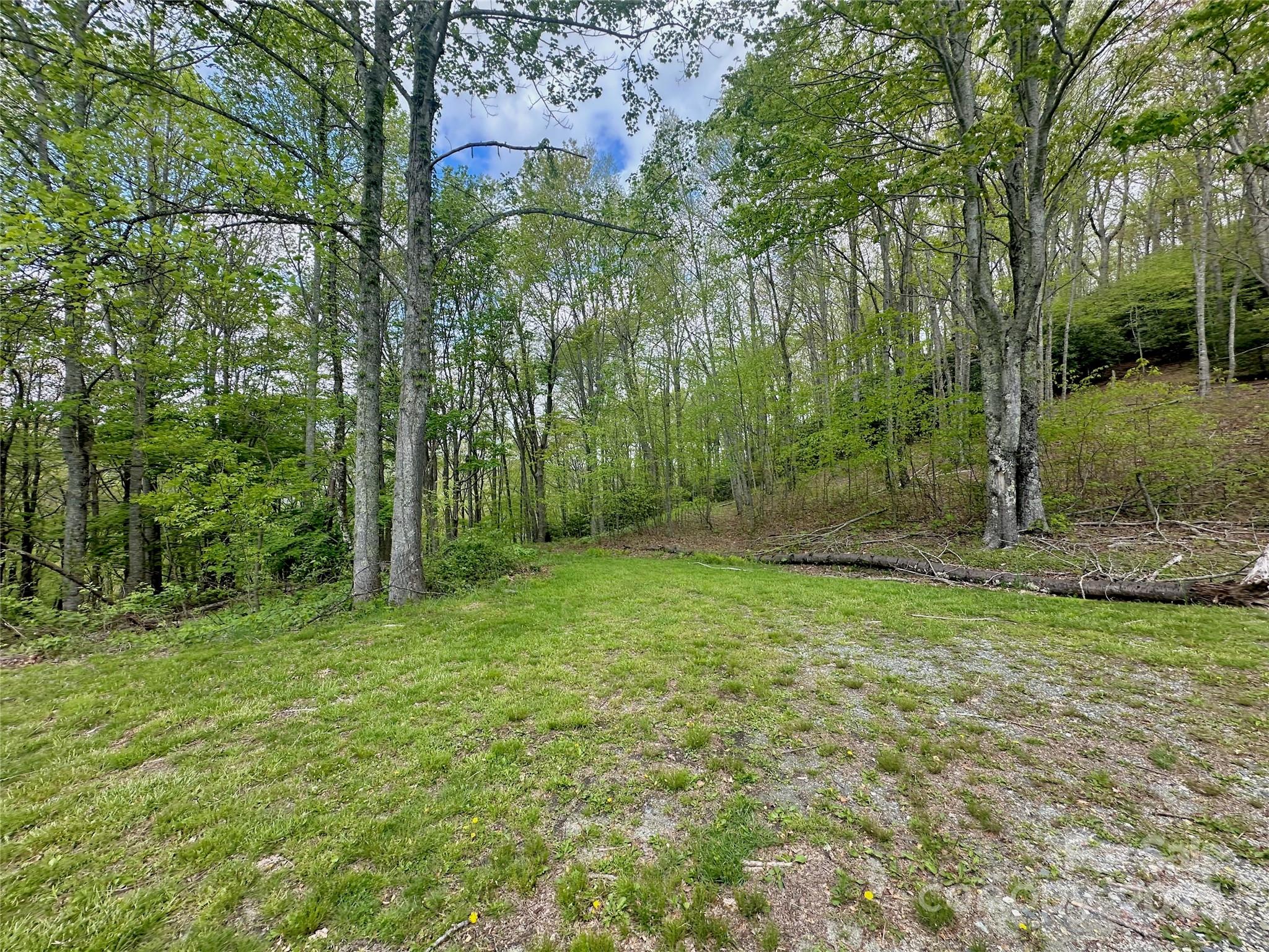 Tbd Jackson Ridge Road, Unit 4 Boone, NC 28607 - Photo 3 of 18 Gallery Image 3
