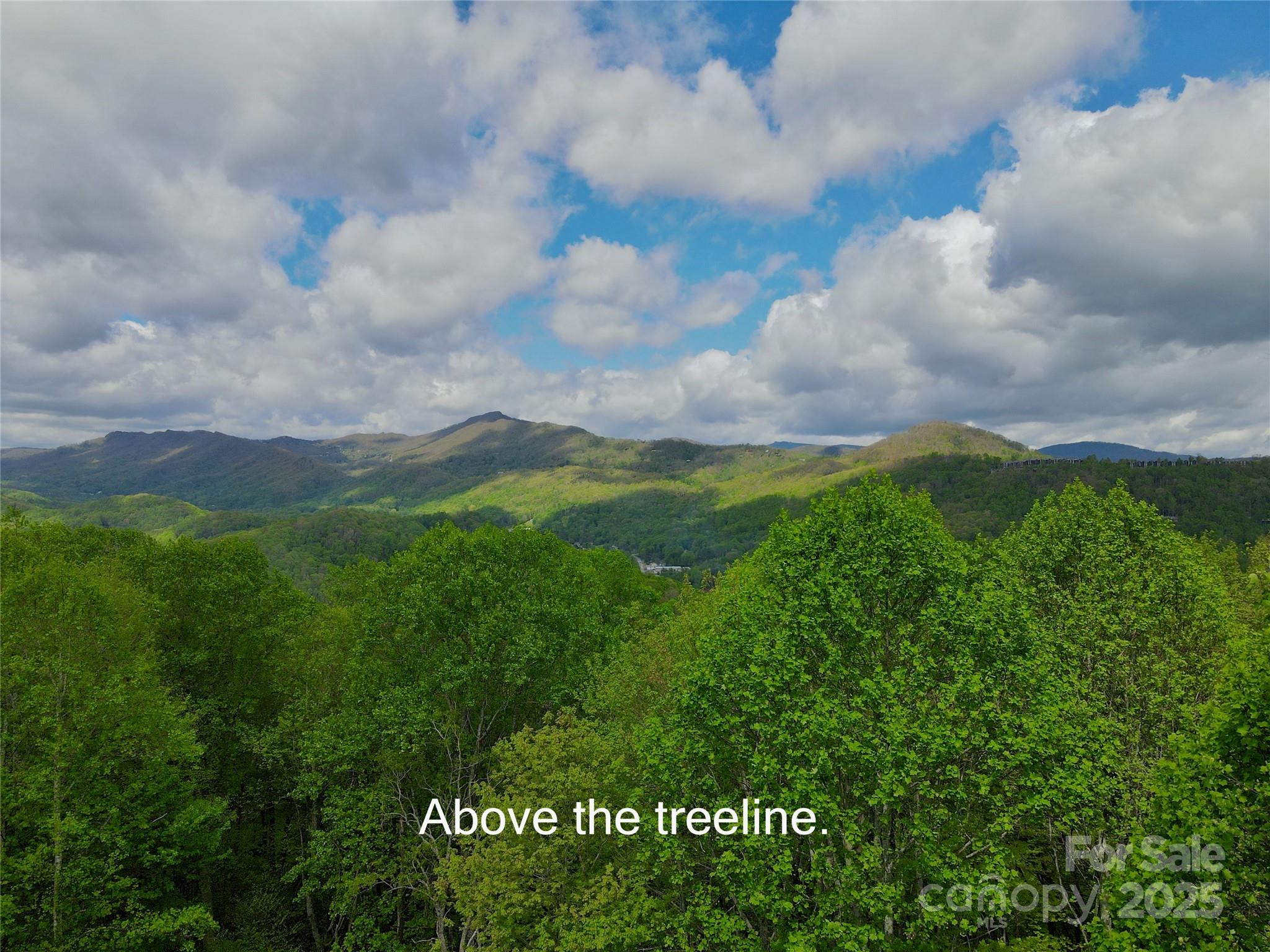 Tbd Jackson Ridge Road, Unit 4 Boone, NC 28607 - Photo 4 of 18 Gallery Image 4