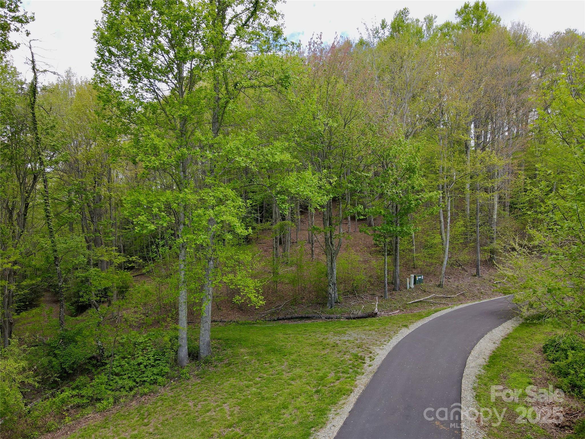 Tbd Jackson Ridge Road, Unit 4 Boone, NC 28607 - Photo 5 of 18 Gallery Image 5