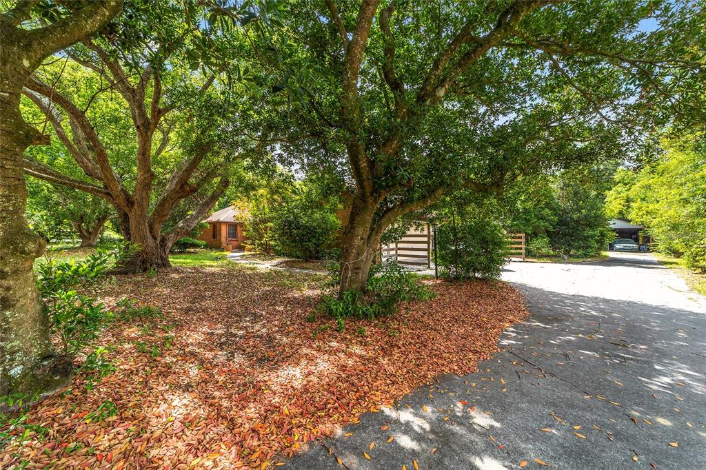 5670 Southwest 34th Street Ocala, FL 34474 - Photo 5 of 72