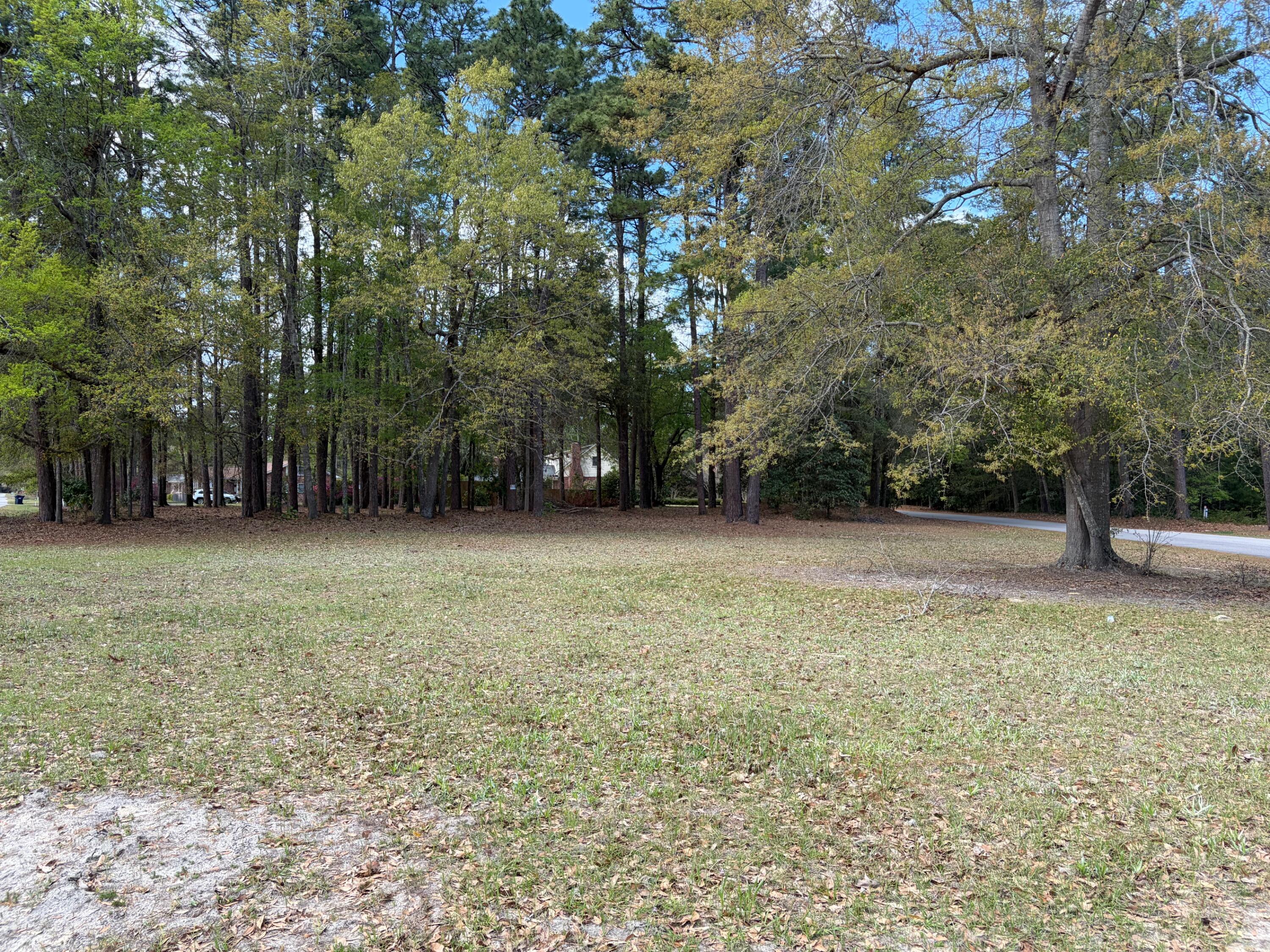 0 Otis Road Walterboro, SC 29488 - Photo 2 of 8