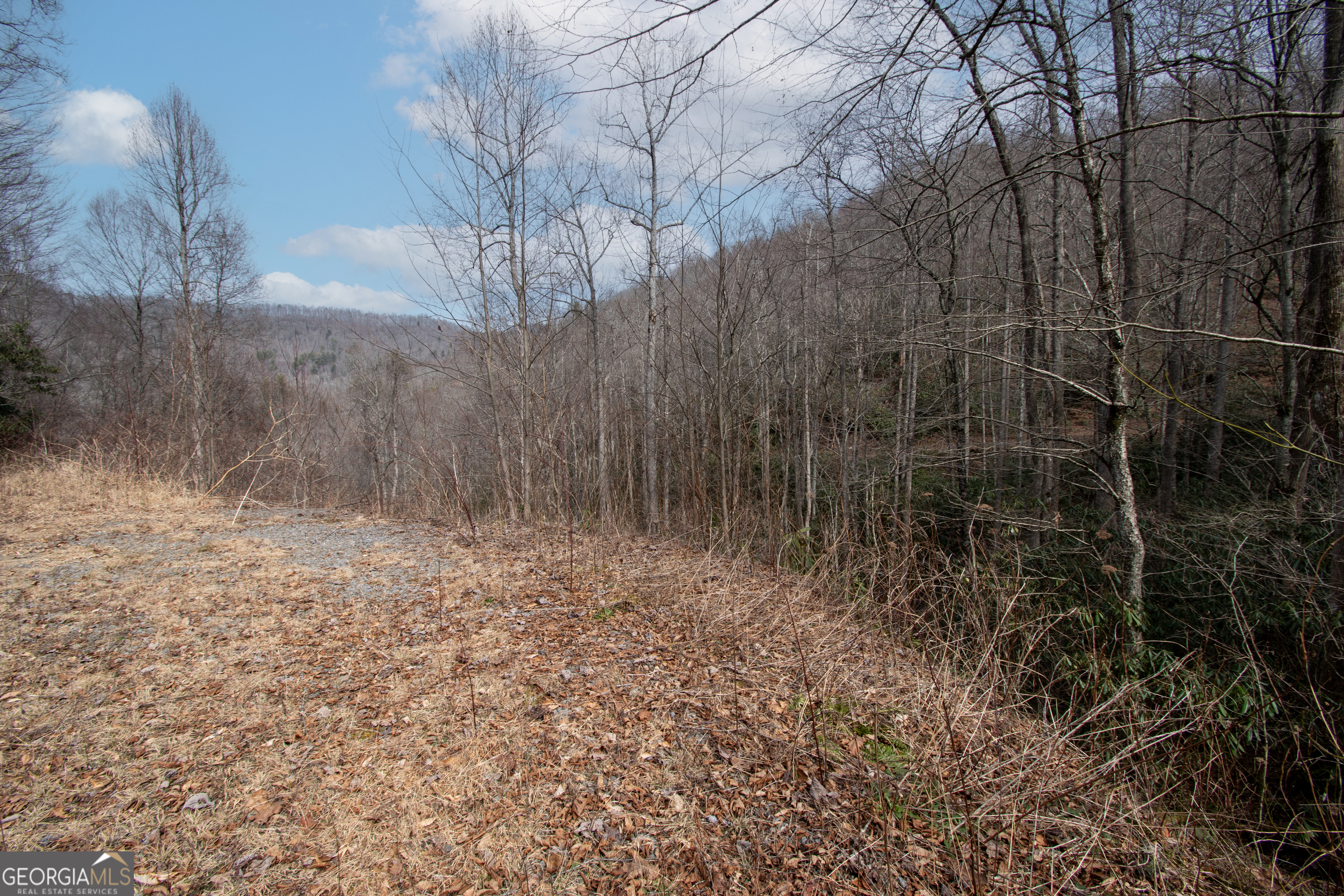 0 Walnut Cove Branch Road Robbinsville, NC 28771 - Photo 3 of 14 a view of a yard
