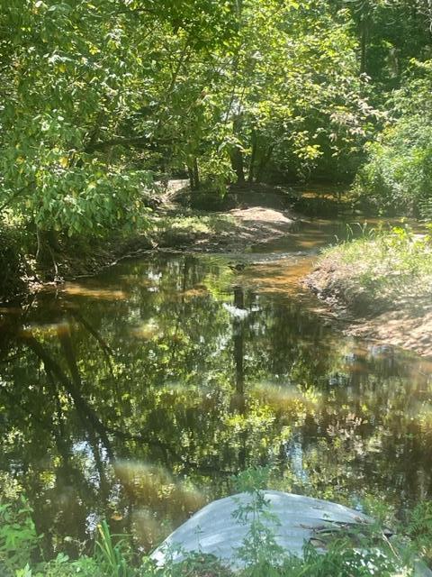 668 Brinson-Pond Road Waynesboro, GA 30830 - Photo 2 of 6 brinson2