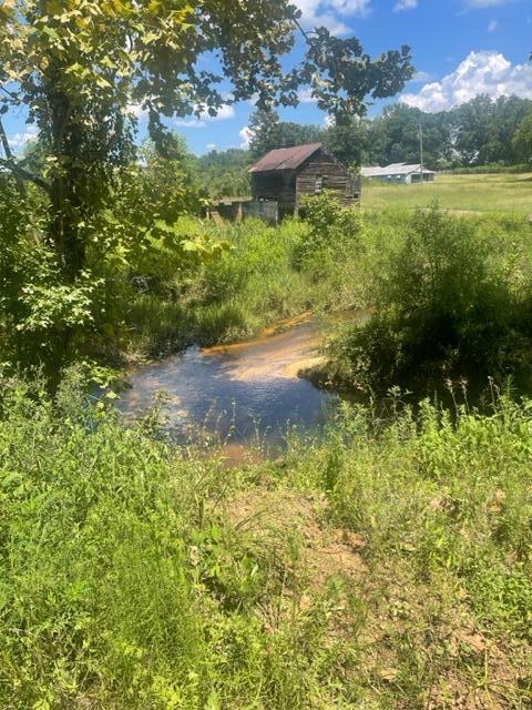 668 Brinson-Pond Road Waynesboro, GA 30830 - Photo 5 of 6 brinson4