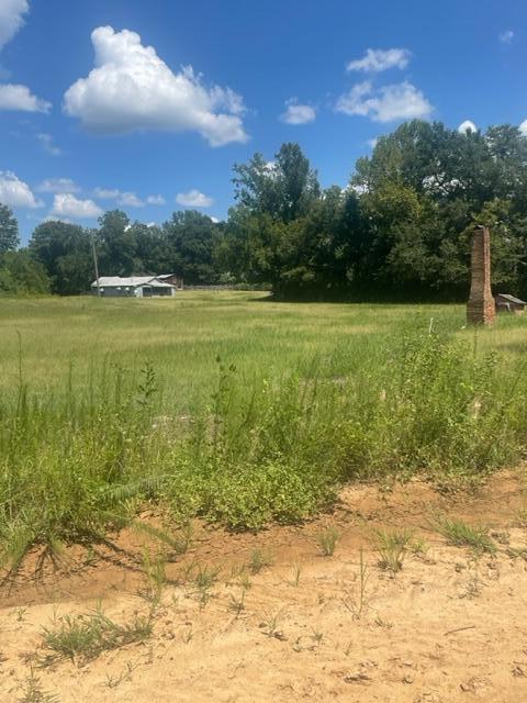 668 Brinson-Pond Road Waynesboro, GA 30830 - Photo 6 of 6 brinson3