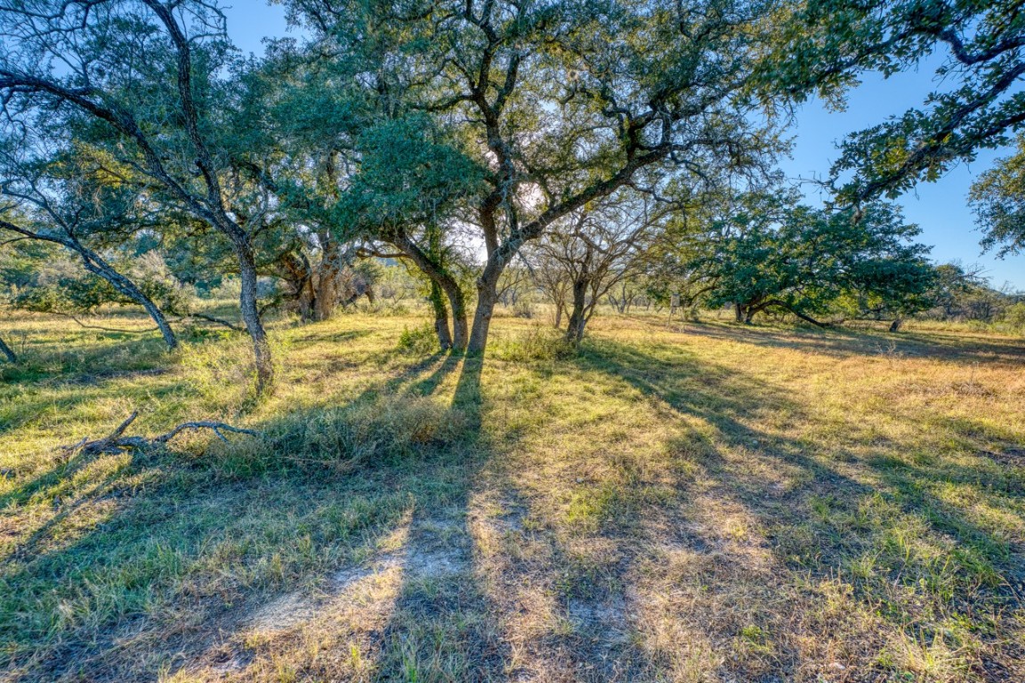 32901 Highway 55 Uvalde, TX 78801 - Photo 29 of 37 a view of beach and yard