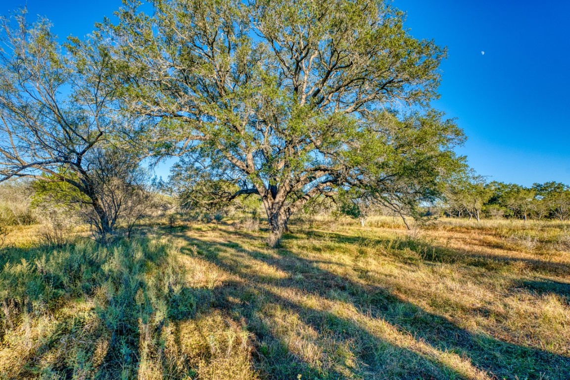 32901 Highway 55 Uvalde, TX 78801 - Photo 30 of 37 a view of beach and trees