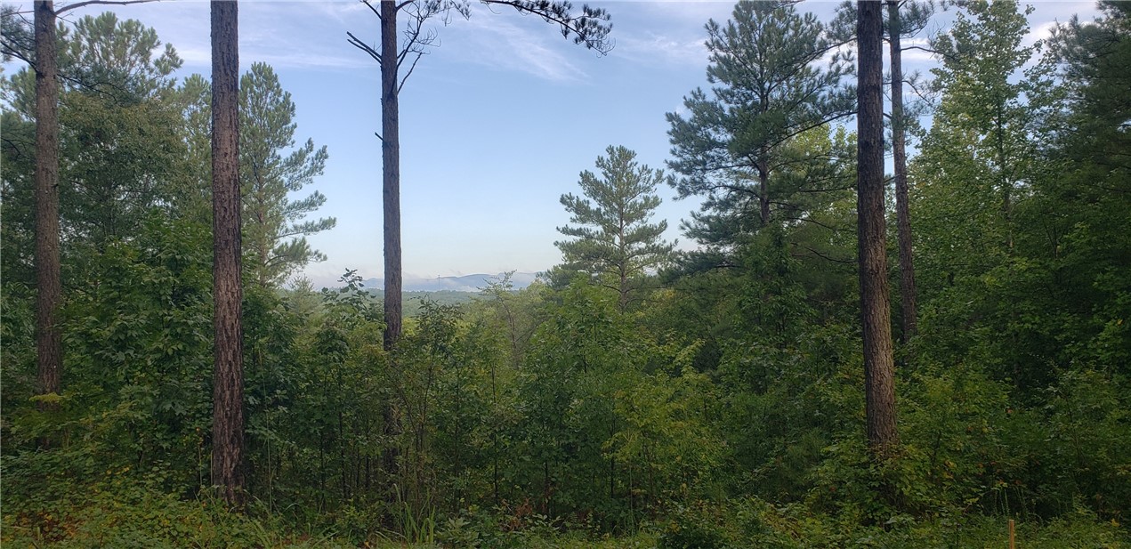 Lot 45 Highlands Ridge Road Salem, SC 29676 - Photo 1 of 22 Gallery Image 1
