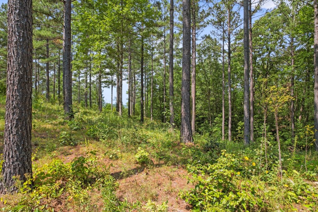 Lot 45 Highlands Ridge Road Salem, SC 29676 - Photo 3 of 22 Gallery Image 3