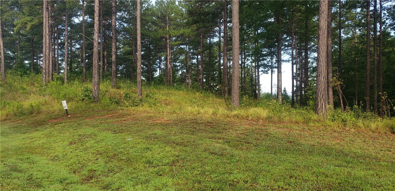 Lot 45 Highlands Ridge Road Salem, SC 29676 - Photo 6 of 22 Gallery Image 6