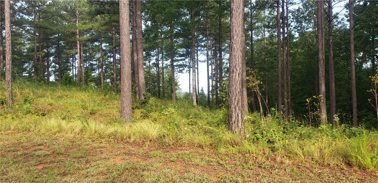 Lot 45 Highlands Ridge Road Salem, SC 29676 - Photo 7 of 22 Gallery Image 7