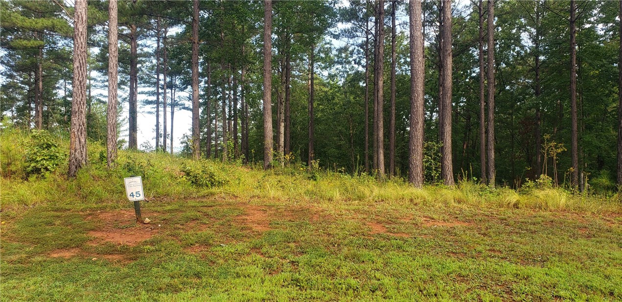 Lot 45 Highlands Ridge Road Salem, SC 29676 - Photo 8 of 22 Gallery Image 8