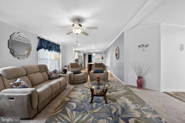 a living room with furniture flowerpot and window