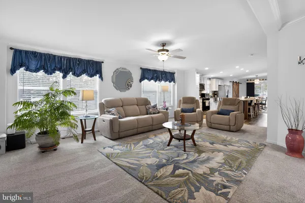 a living room with furniture potted plant and a chandelier