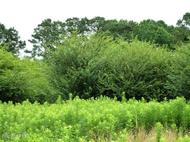 0 Quinn Store Road Beulaville, NC 28518 - Photo 1 of 16 P1090419