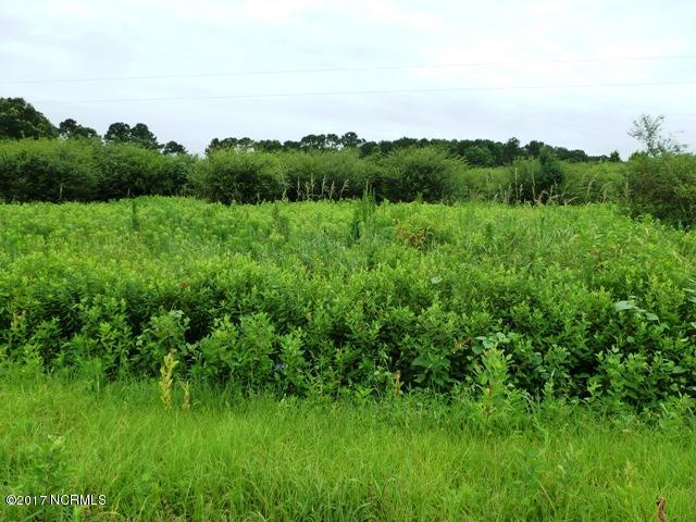 0 Quinn Store Road Beulaville, NC 28518 - Photo 11 of 16 P1090417