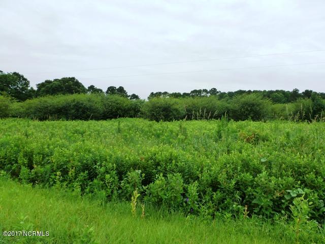 0 Quinn Store Road Beulaville, NC 28518 - Photo 12 of 16 P1090418
