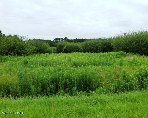 0 Quinn Store Road Beulaville, NC 28518 - Photo 13 of 16 P1090420