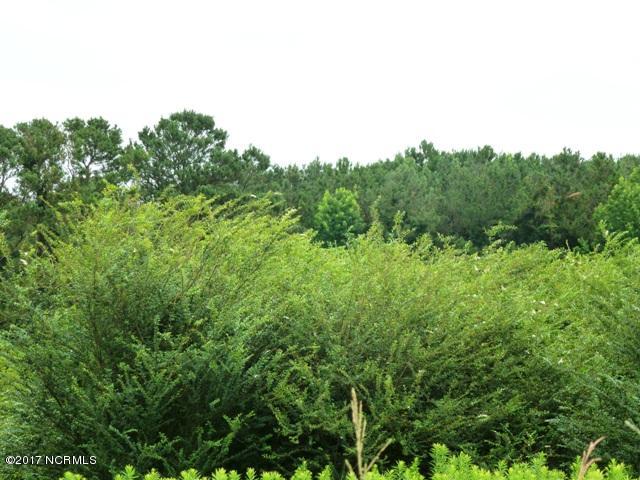 0 Quinn Store Road Beulaville, NC 28518 - Photo 14 of 16 P1090421