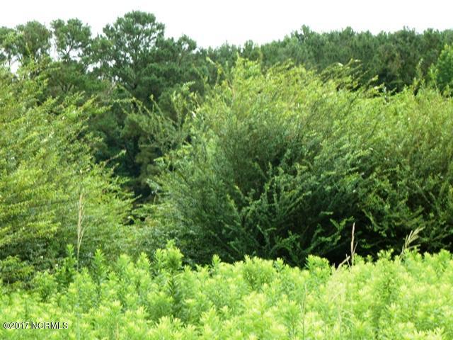 0 Quinn Store Road Beulaville, NC 28518 - Photo 15 of 16 P1090422