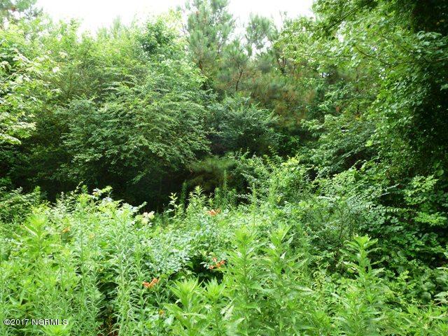 0 Quinn Store Road Beulaville, NC 28518 - Photo 6 of 16 P1090410