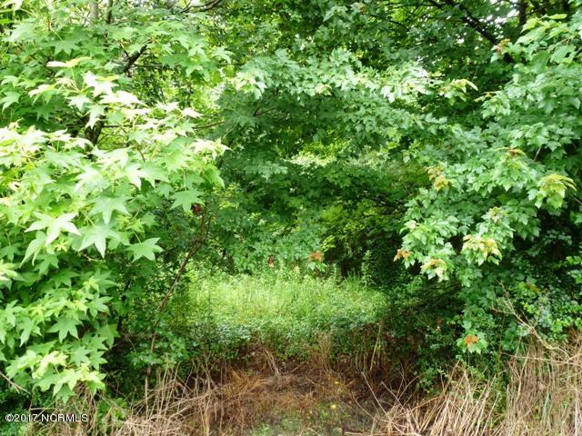 0 Quinn Store Road Beulaville, NC 28518 - Photo 7 of 16 P1090412