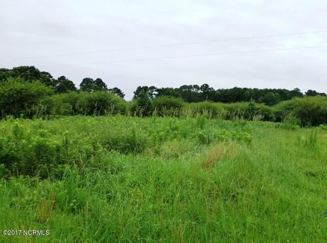 0 Quinn Store Road Beulaville, NC 28518 - Photo 10 of 16 P1090416