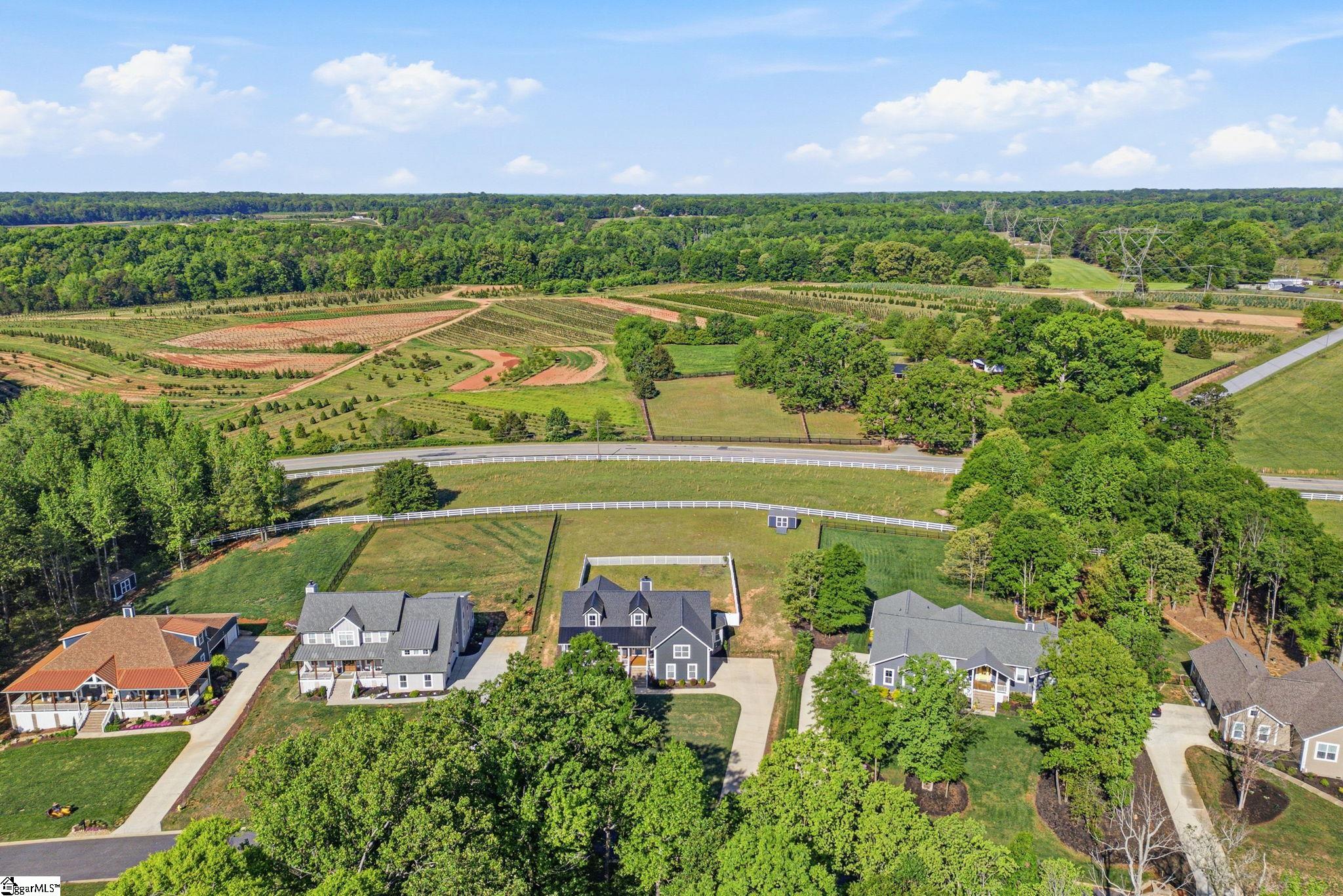 112 Lipizzaner Court Pelzer, SC 29669 - Photo 2 of 50